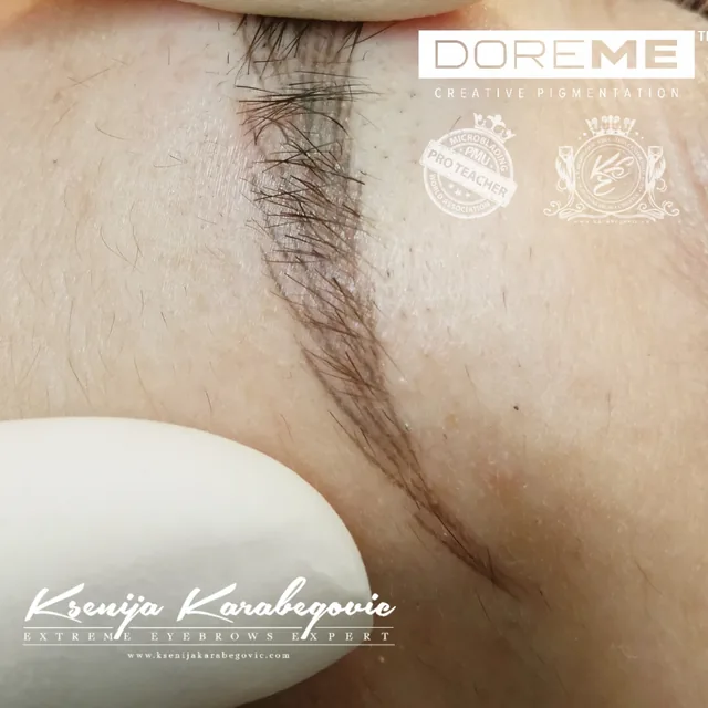 Brow work by Ksenija Karabegovic, photograph 7
