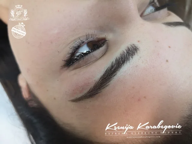 Brow work by Ksenija Karabegovic, photograph 64