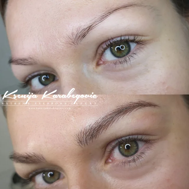 Brow work by Ksenija Karabegovic, photograph 67