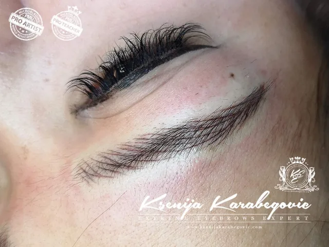 Brow work by Ksenija Karabegovic, photograph 73