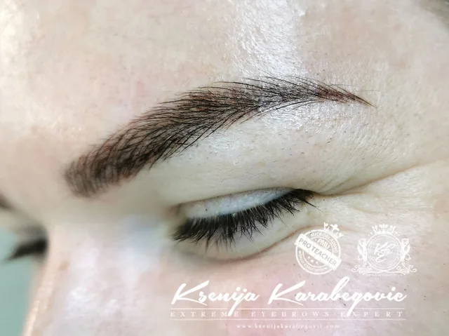 Brow work by Ksenija Karabegovic, photograph 103