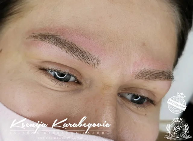 Brow work by Ksenija Karabegovic, photograph 108