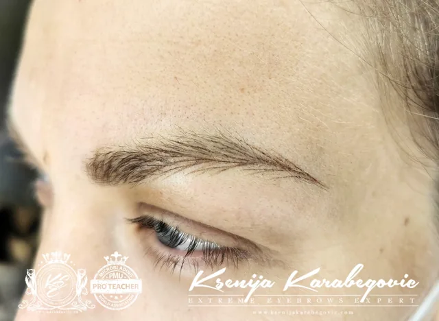 Brow work by Ksenija Karabegovic, photograph 130