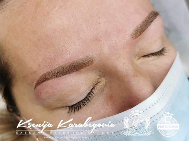 Brow work by Ksenija Karabegovic, photograph 143