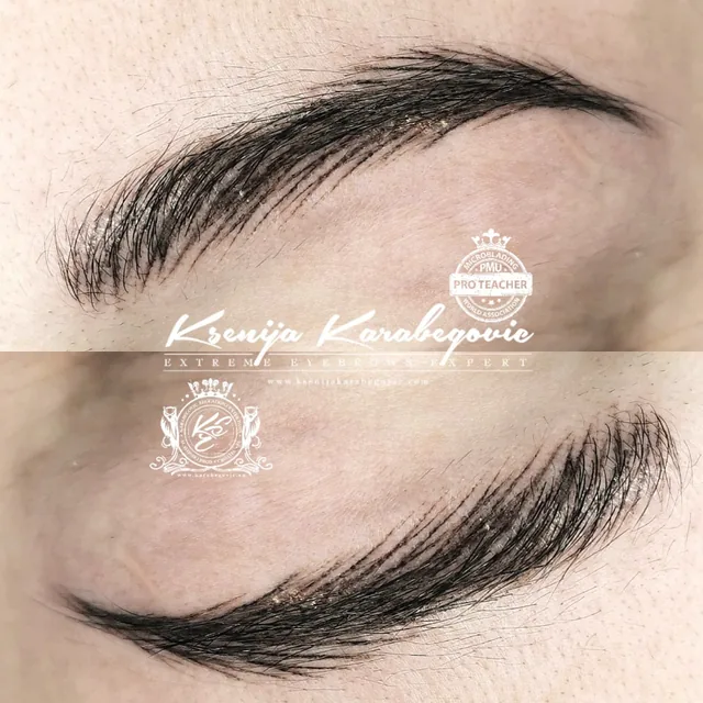 Brow work by Ksenija Karabegovic, photograph 146