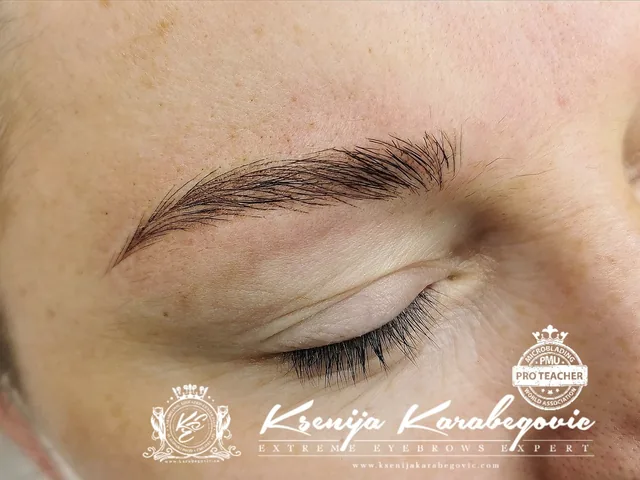 Brow work by Ksenija Karabegovic, photograph 151