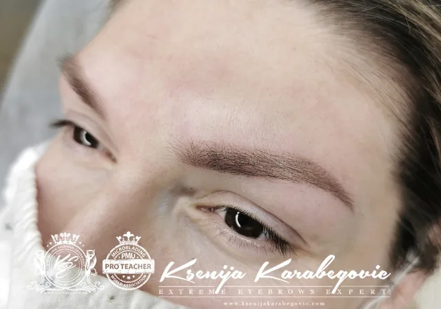 Brow work by Ksenija Karabegovic, photograph 154