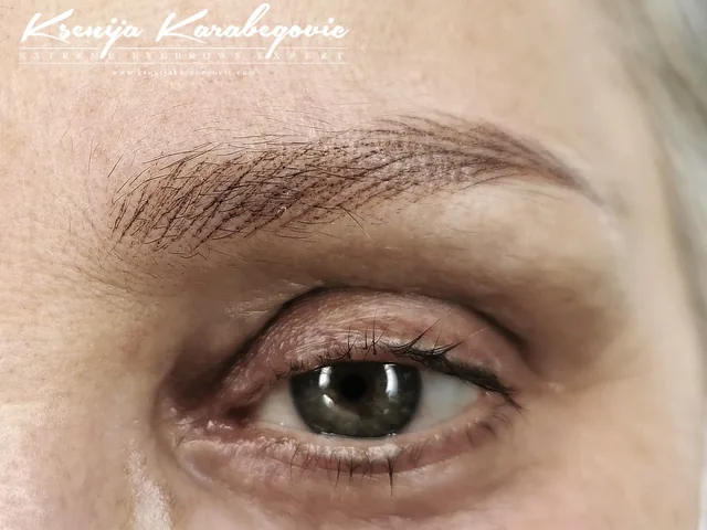 Brow work by Ksenija Karabegovic, photograph 189