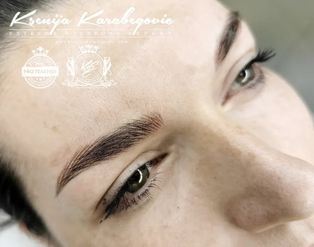 Brow work by Ksenija Karabegovic, photograph 195