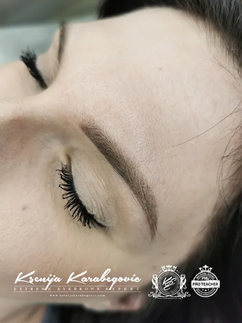Brow work by Ksenija Karabegovic, photograph 197
