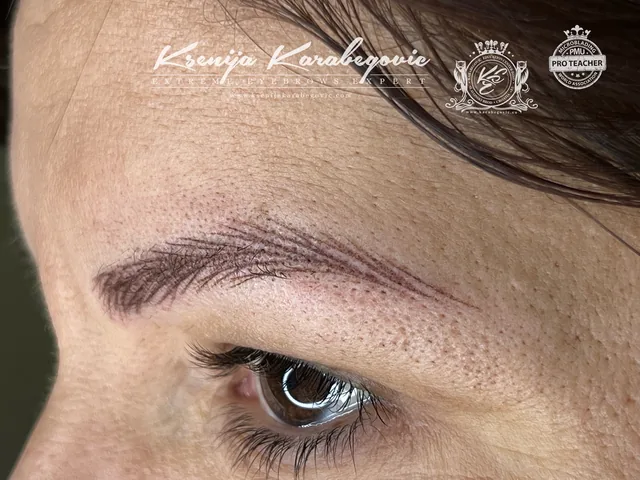 Brow work by Ksenija Karabegovic, photograph 212