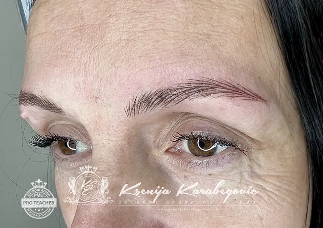 Brow work by Ksenija Karabegovic, photograph 221