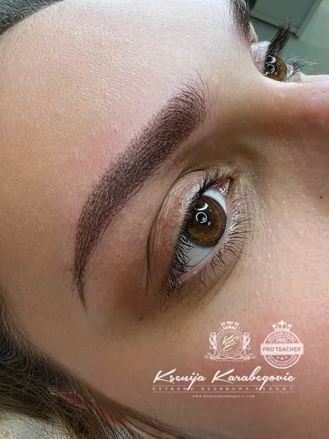 Brow work by Ksenija Karabegovic, photograph 231