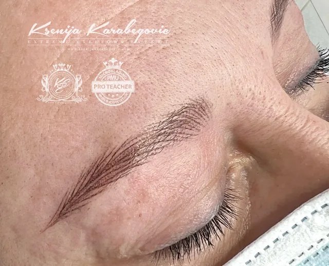 Brow work by Ksenija Karabegovic, photograph 233