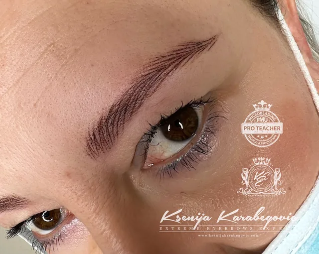 Brow work by Ksenija Karabegovic, photograph 236