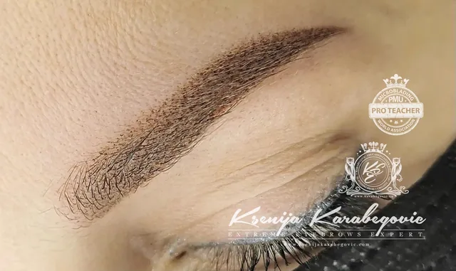 Brow work by Ksenija Karabegovic, photograph 237
