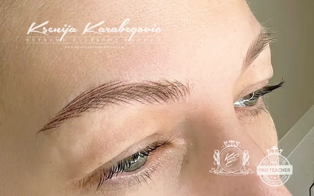 Brow work by Ksenija Karabegovic, photograph 242
