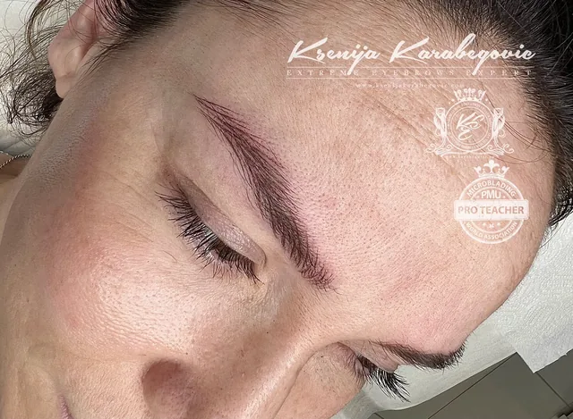 Brow work by Ksenija Karabegovic, photograph 268