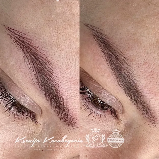 Brow work by Ksenija Karabegovic, photograph 271