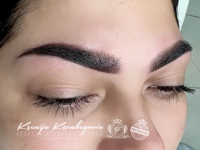 Brow work by Ksenija Karabegovic, photograph 303