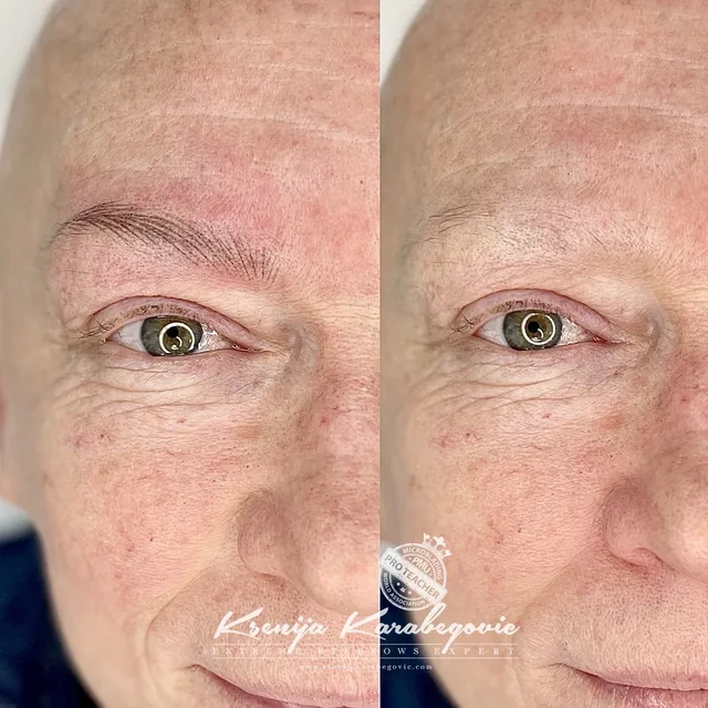Brow work by Ksenija Karabegovic, photograph 361