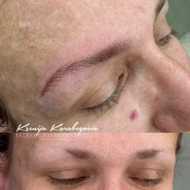 Brow work by Ksenija Karabegovic, photograph 415