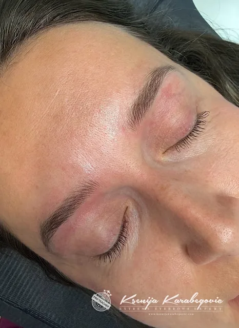 Brow work by Ksenija Karabegovic, photograph 416